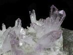 Spectacular Amethyst Crystal Cluster - Las Vigas, Mexico #31946-6